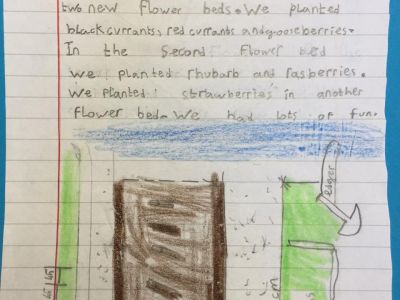 Biodiversity in 4th Class Biodiversity in 4th Class