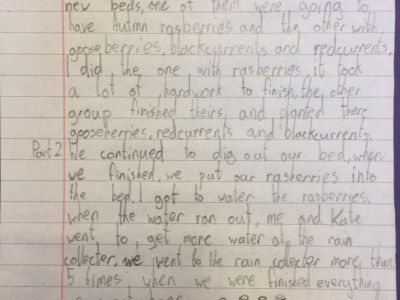 Biodiversity in 4th Class Biodiversity in 4th Class