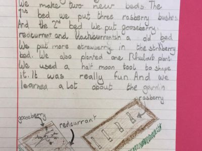 Biodiversity in 4th Class Biodiversity in 4th Class