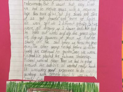 Biodiversity in 4th Class Biodiversity in 4th Class