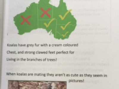 Animal Projects