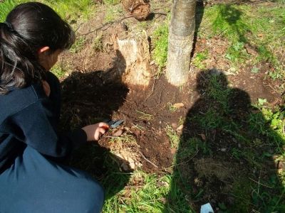 Mini-Beast Hunt...and Biodiversity/Gardening