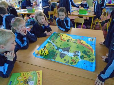 Bee-Bots in action - Senior Infants