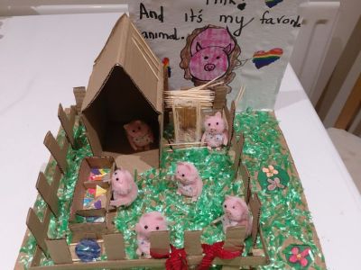 Animal Projects