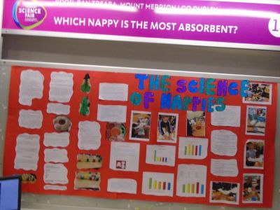 Primary Science Fair - RDS - January 2019