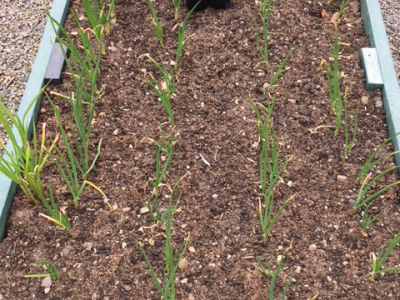 Gardening