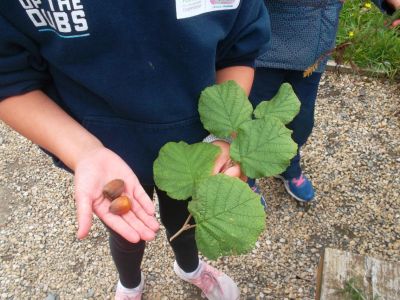 Gardening / Biodiversity - a glimpse at some of our work this year Gardening / Biodiversity - a glimpse at some of our work this year