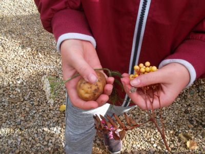 Gardening / Biodiversity - a glimpse at some of our work this year Gardening / Biodiversity - a glimpse at some of our work this year
