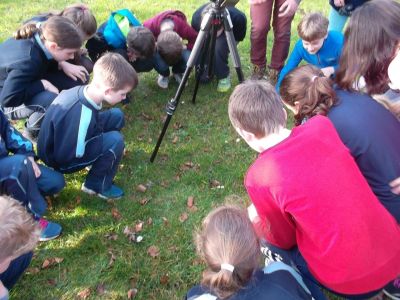 Science, Birdwatching, Biodiversity Science, Birdwatching, Biodiversity