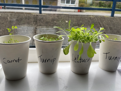 Green Fingers 