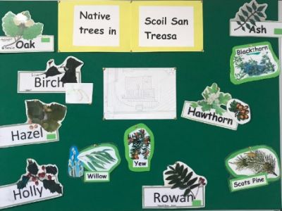 Science Week 