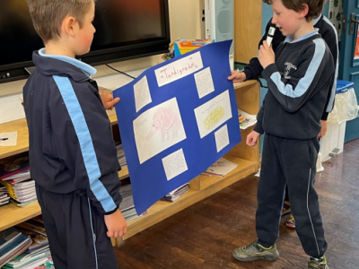 Animal Projects