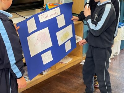 Animal Projects