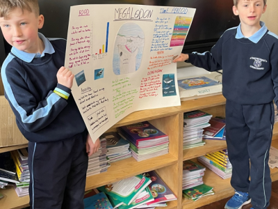 Animal Projects