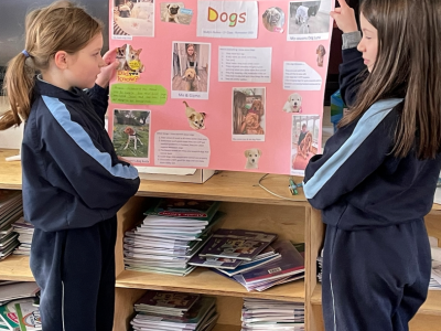 Animal Projects