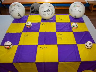 Kilmacud Crokes visit to Scoil San Treasa 