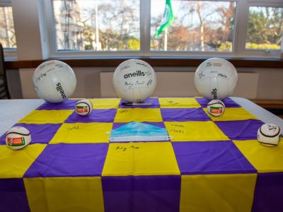 Kilmacud Crokes visit to Scoil San Treasa 