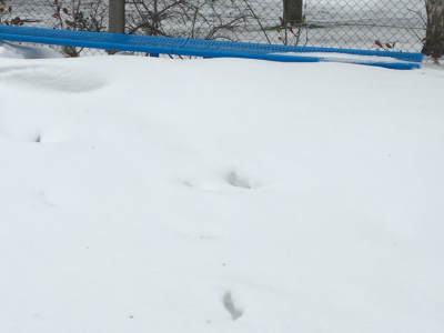 SST and the Snow: Operation Transformation!