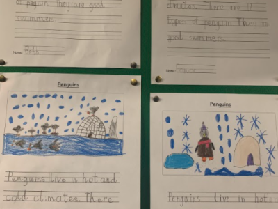 Senior Infants - Busy Bees