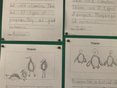 Senior Infants - Busy Bees