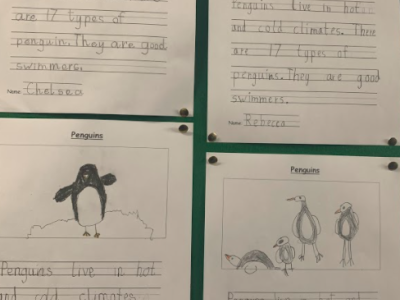 Senior Infants - Busy Bees