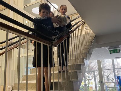 Egg drop