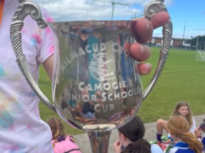 Camogie Blitz