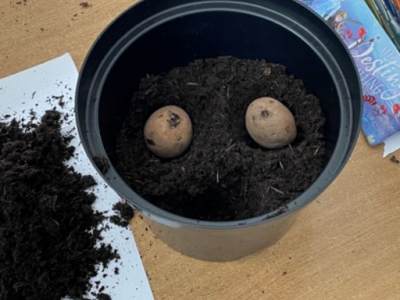 Green Fingers 
