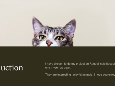 Animal Projects