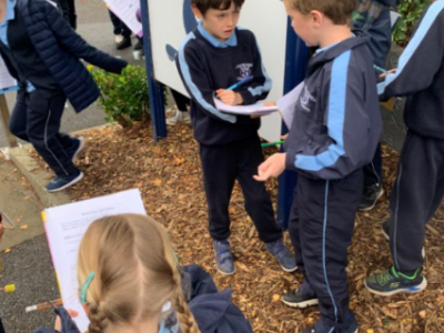 Maths Week 2020