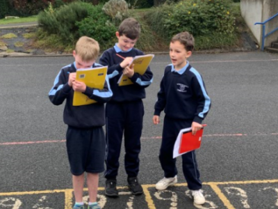 Maths Week 2020