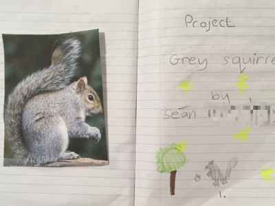 Animal Projects