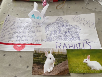 Animal Projects