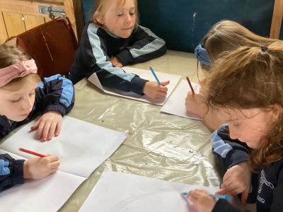Junior and Senior Infants