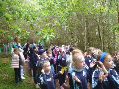 Junior and Senior Infants