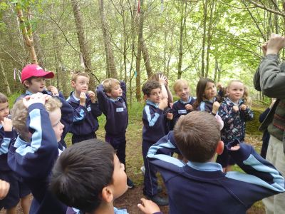 Junior and Senior Infants