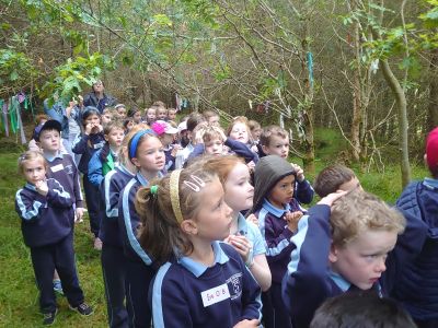 Junior and Senior Infants