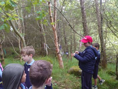 Junior and Senior Infants
