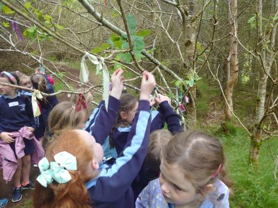 Junior and Senior Infants