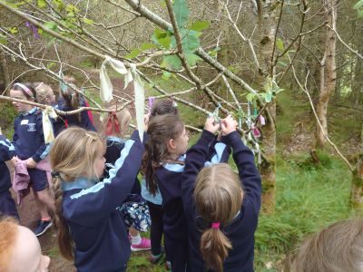 Junior and Senior Infants