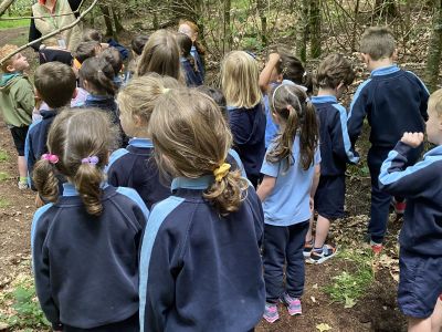 Junior and Senior Infants