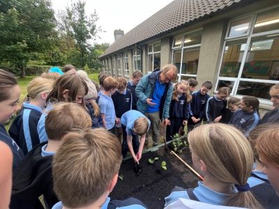 Green Schools 