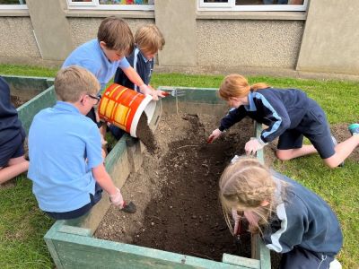 Green Schools 