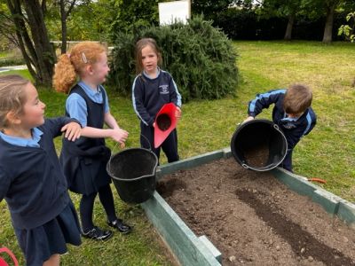 Our School Garden 