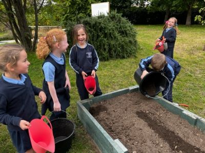 Our School Garden 