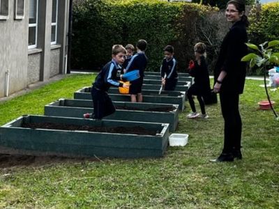 Our School Garden 