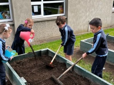 Our School Garden 