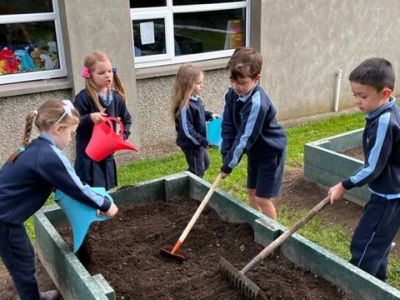 Our School Garden 