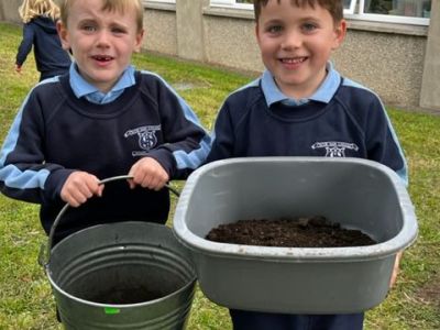 Our School Garden 