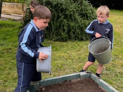 Our School Garden 